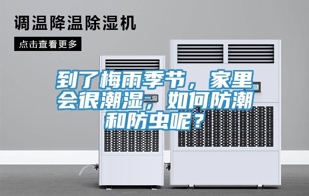 到了梅雨季節，家裏會很潮濕，如何防潮和防蟲呢？