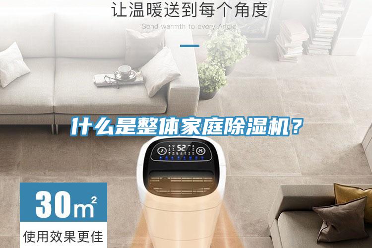 什麽是整體家庭91看片网站？