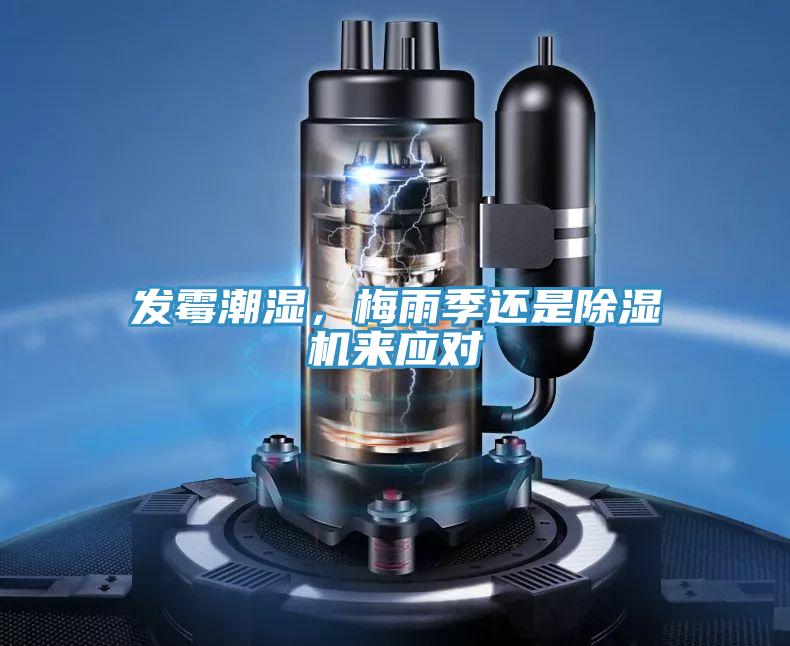 發黴潮濕，梅雨季還是91看片网站來應對