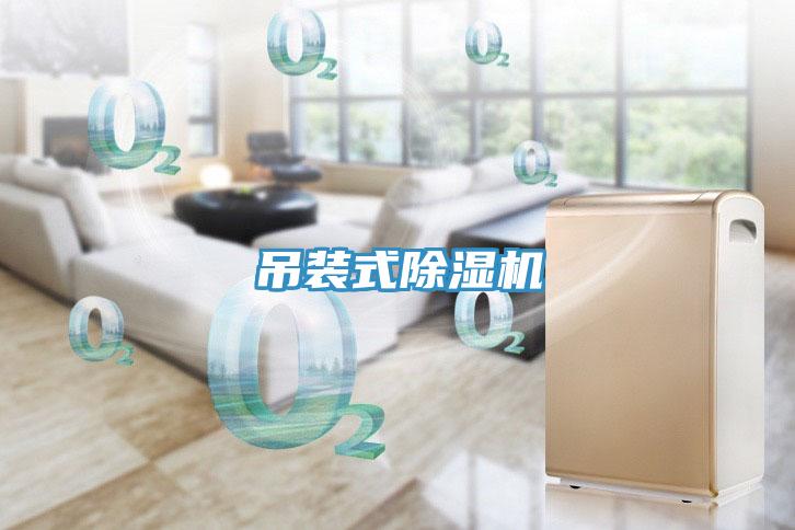 吊裝式91看片网站