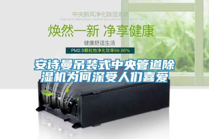 91看片免费下载吊裝式中央管道91看片网站為何深受人們喜愛