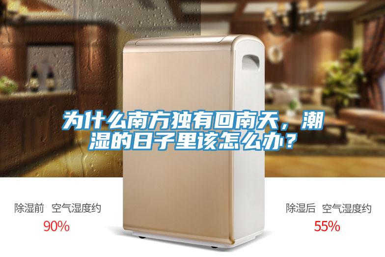 為什麽南方獨有回南天，潮濕的日子裏該怎麽辦？