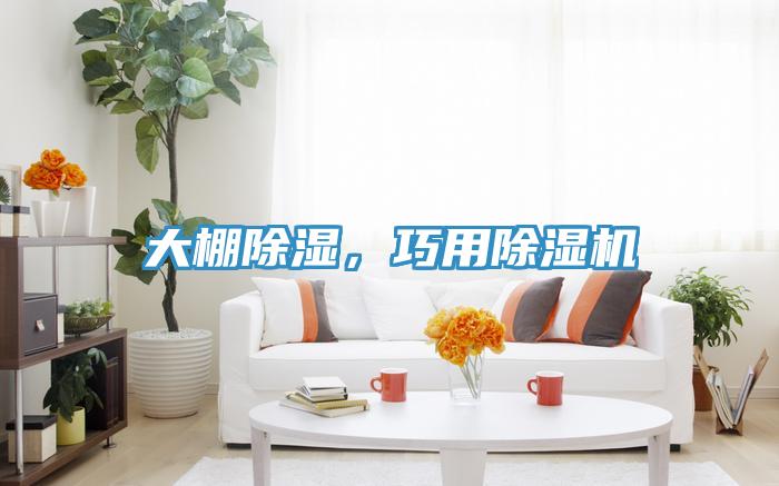 大棚除濕，巧用91看片网站