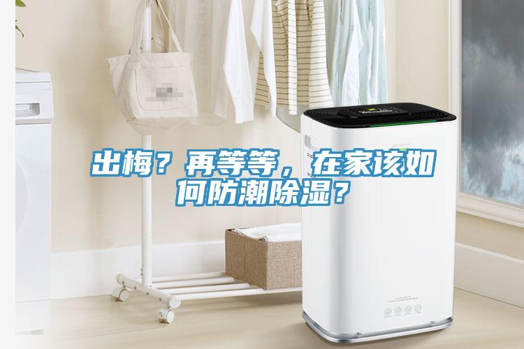 出梅？再等等，在家該如何防潮除濕？