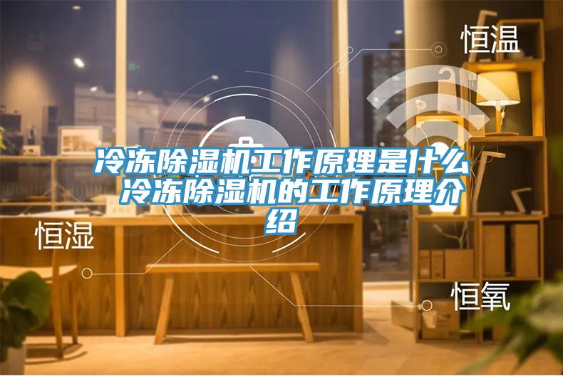 冷凍91看片网站工作原理是什麽 冷凍91看片网站的工作原理介紹