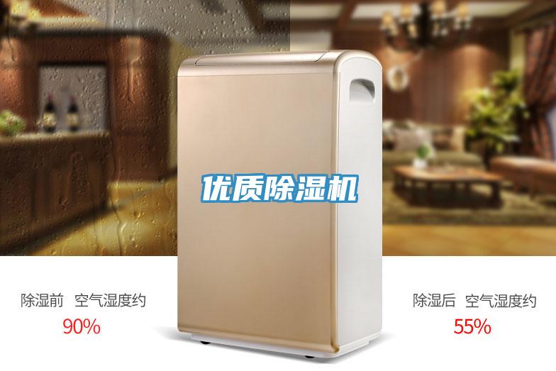 優質91看片网站