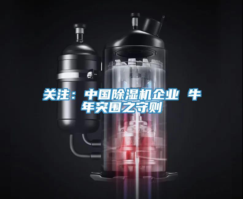 關注：中國91看片网站企業 牛年突圍之守則