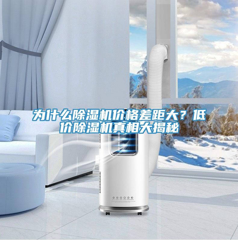 為什麽91看片网站價格差距大？低價91看片网站真相大揭秘