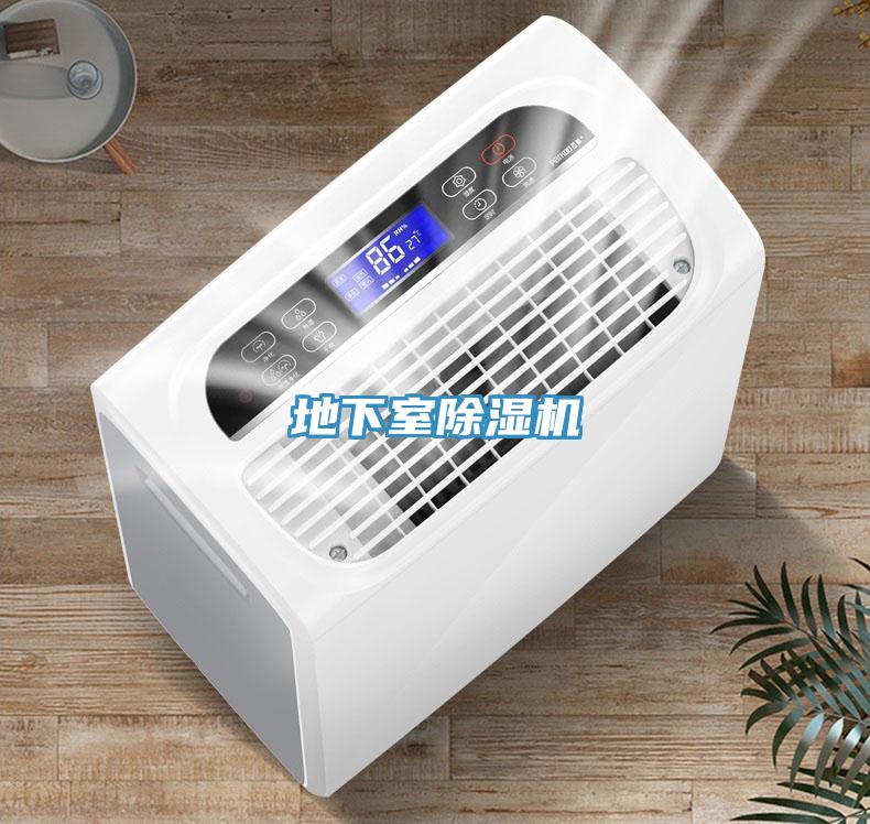 地下室91看片网站