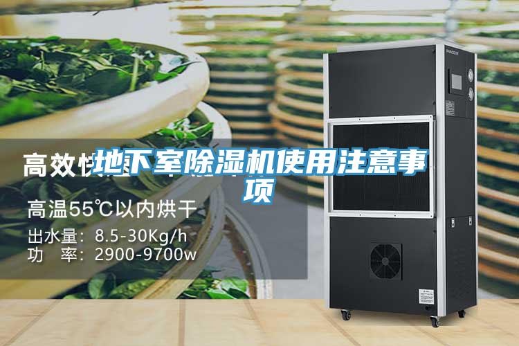 地下室91看片网站使用注意事項