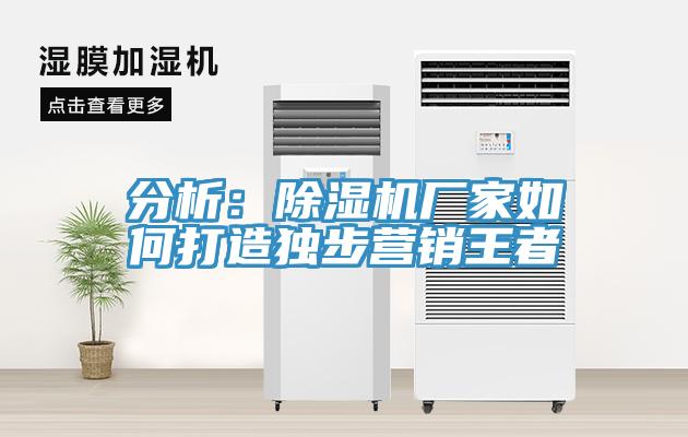 分析：91看片网站廠家如何打造獨步營銷王者