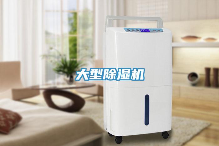 大型91看片网站