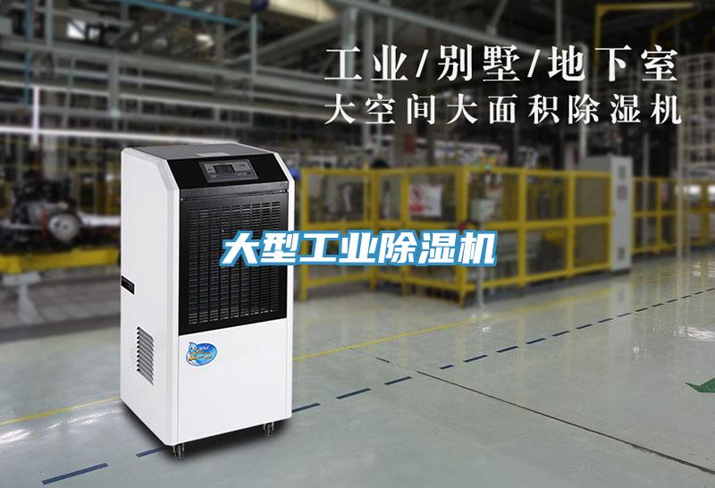 大型工業91看片网站