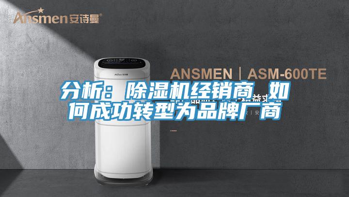 分析：91看片网站經銷商 如何成功轉型為品牌廠商