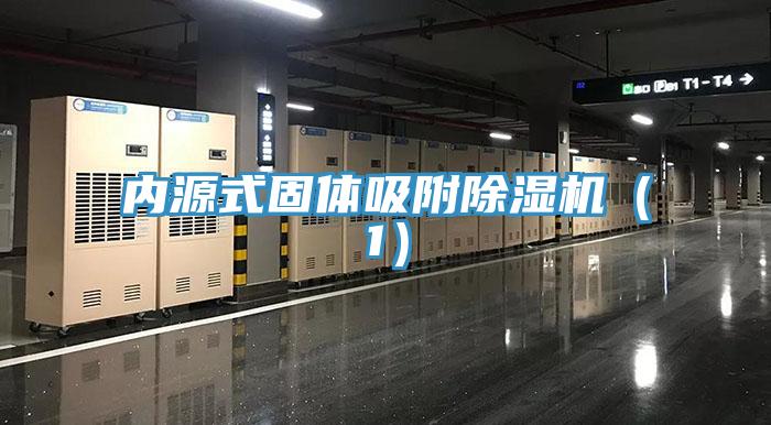 內源式固體吸附91看片网站（1）