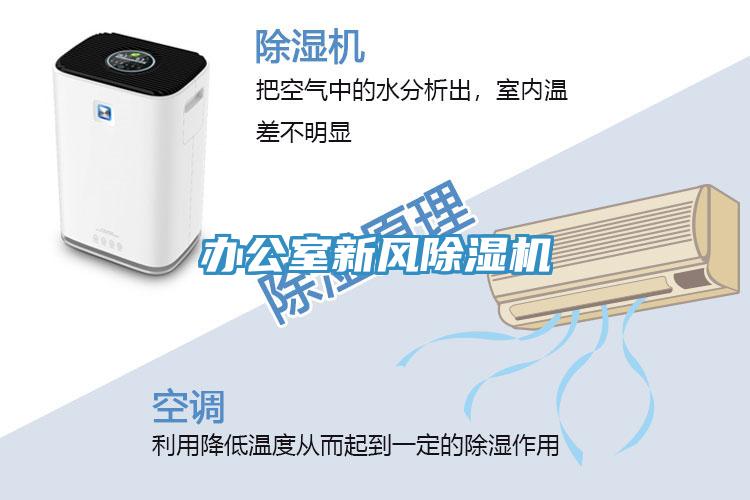 辦公室新風91看片网站