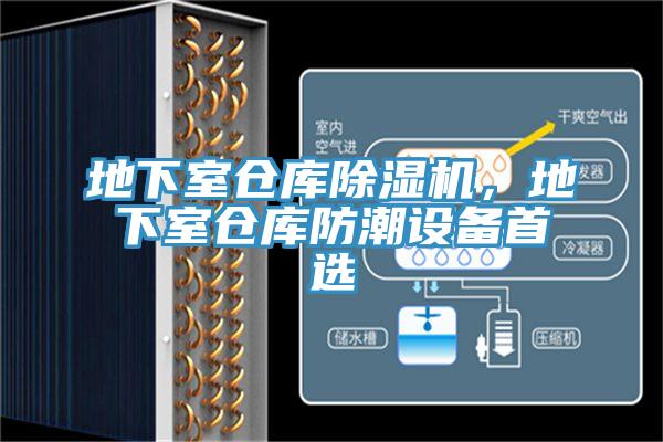 地下室倉庫91看片网站，地下室倉庫防潮設備首選