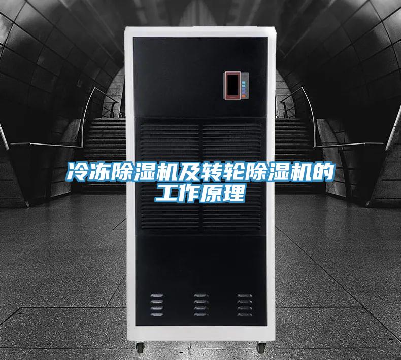 冷凍91看片网站及轉輪91看片网站的工作原理