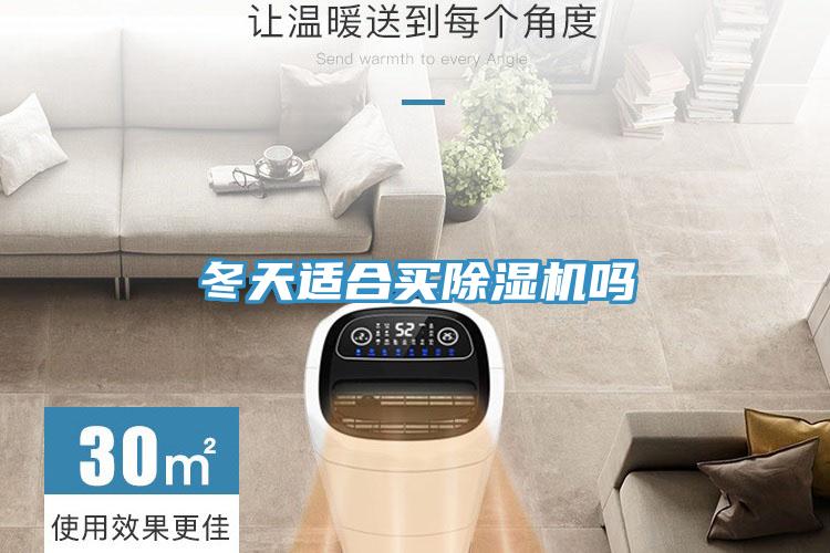冬天適合買91看片网站嗎