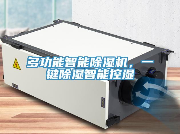 多功能智能91看片网站，一鍵除濕智能控濕