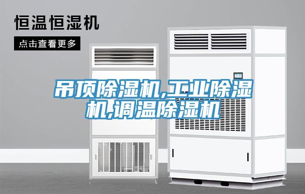 吊頂91看片网站,工業91看片网站,調溫91看片网站