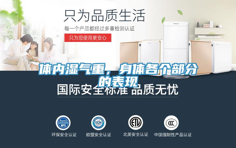 體內濕氣重，身體各個部分的表現