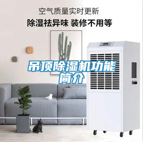 吊頂91看片网站功能簡介