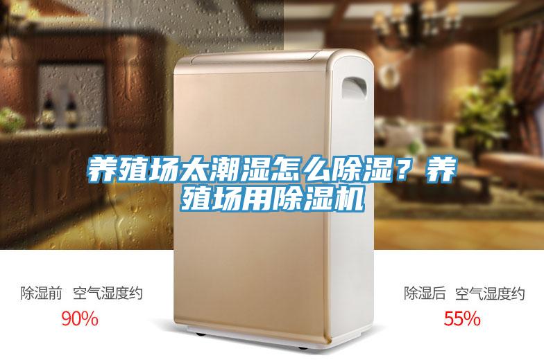 養殖場太潮濕怎麽除濕？養殖場用91看片网站