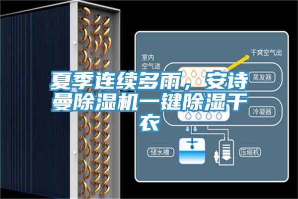 夏季連續多雨，91看片免费下载91看片网站一鍵除濕幹衣