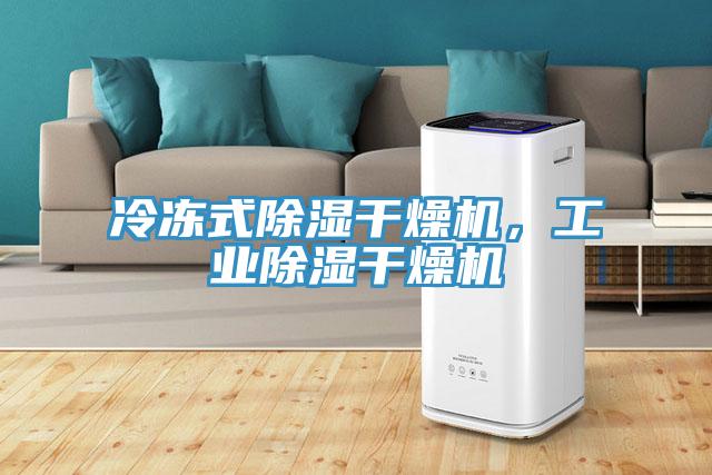 冷凍式除濕幹燥機，工業除濕幹燥機
