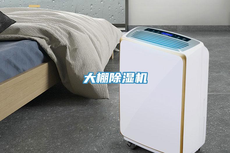 大棚91看片网站