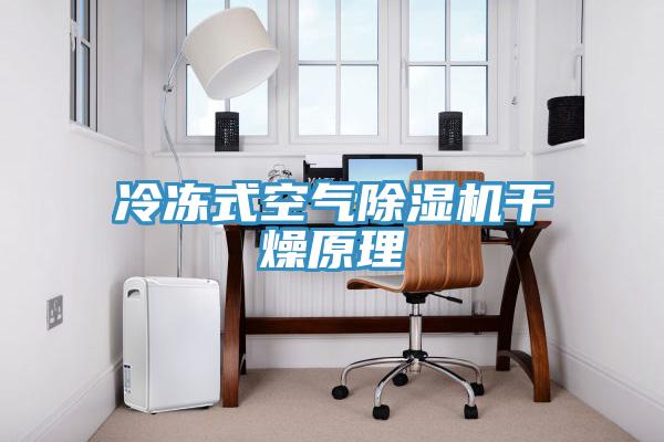 冷凍式空氣91看片网站幹燥原理