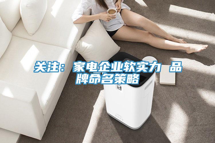 關注：家電企業軟實力 品牌命名策略