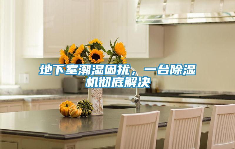 地下室潮濕困擾，一台91看片网站徹底解決