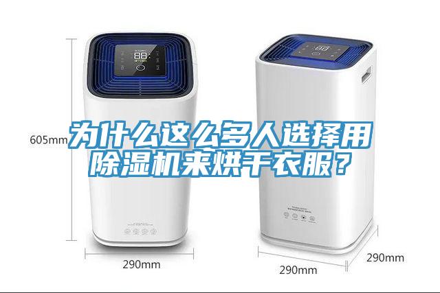 為什麽這麽多人選擇用91看片网站來烘幹衣服？