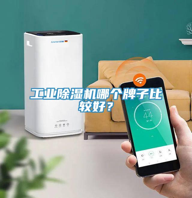 工業91看片网站哪個牌子比較好？