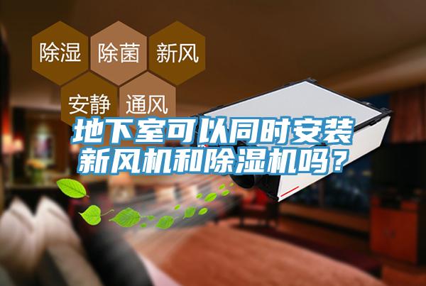 地下室可以同時安裝新風機和91看片网站嗎？