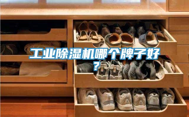 工業91看片网站哪個牌子好？