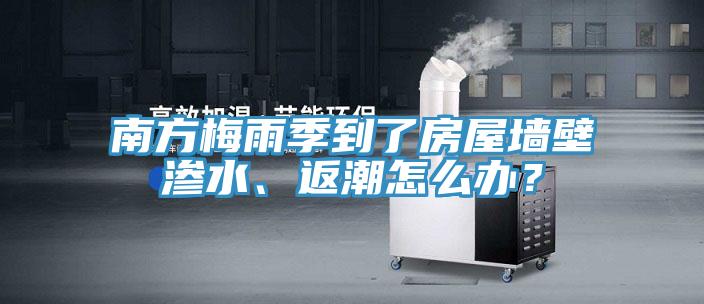 南方梅雨季到了房屋牆壁滲水、返潮怎麽辦？