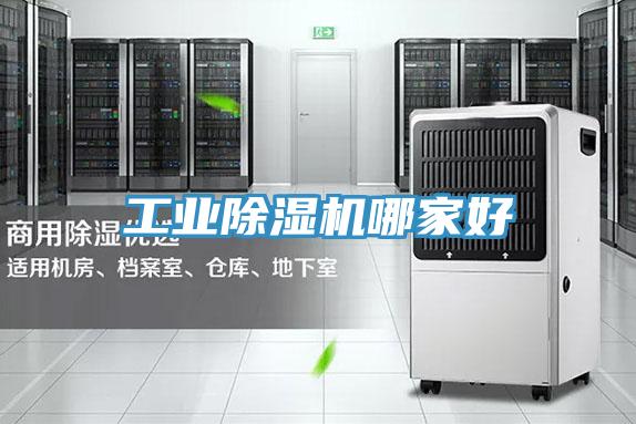 工業91看片网站哪家好