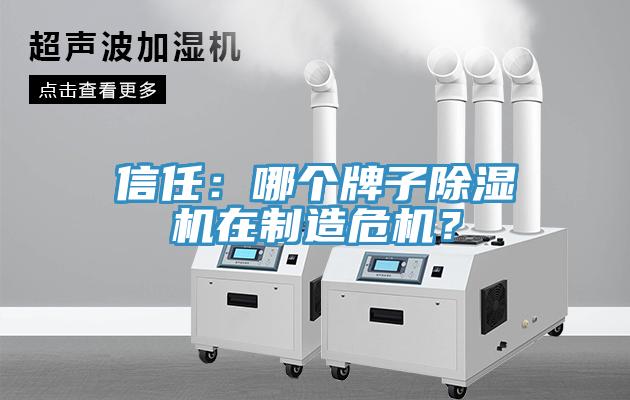 信任：哪個牌子91看片网站在製造危機？