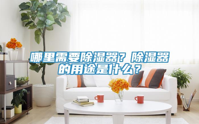 哪裏需要除濕器？除濕器的用途是什麽？