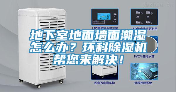 地下室地麵牆麵潮濕怎麽辦？環科91看片网站幫您來解決！