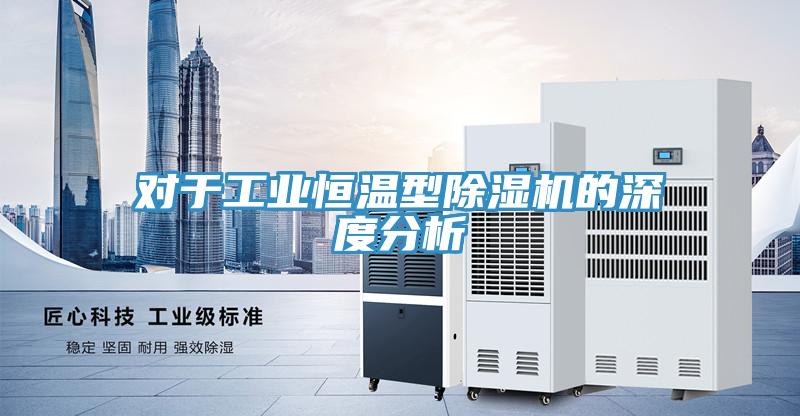 對於工業恒溫型91看片网站的深度分析