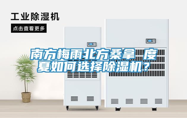 南方梅雨北方桑拿 度夏如何選擇91看片网站？