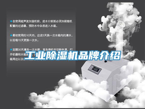 工業91看片网站品牌介紹