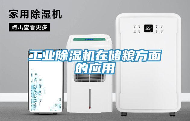 工業91看片网站在儲糧方麵的應用