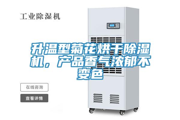 升溫型菊花烘幹91看片网站，產品香氣濃鬱不變色