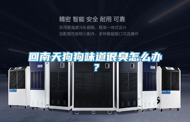 回南天狗狗味道很臭怎麽辦？