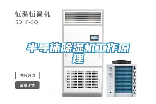 半導體91看片网站工作原理